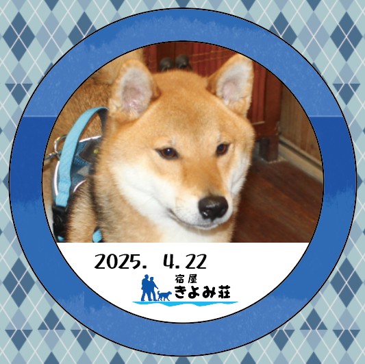 がんも