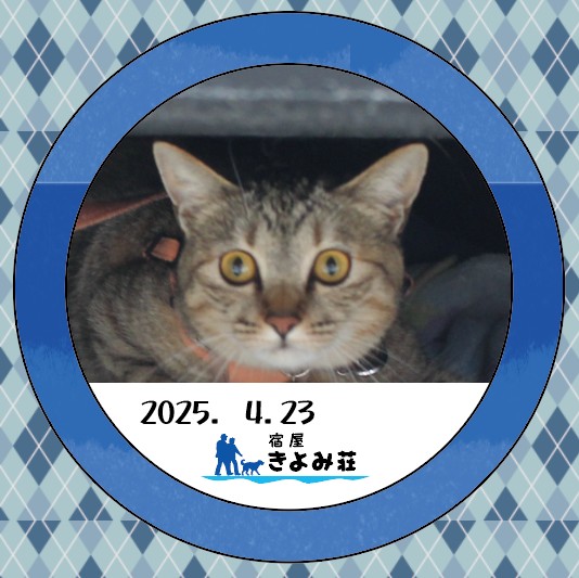 キャンディー