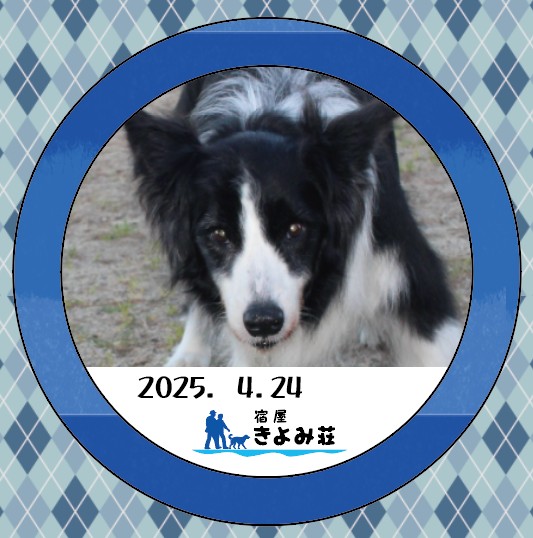 セナ