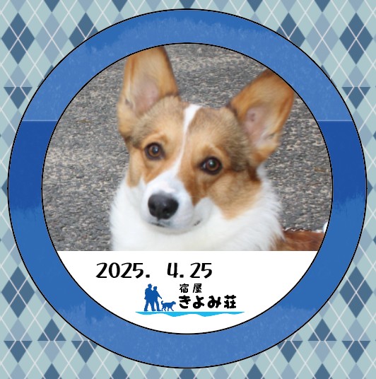 おもち