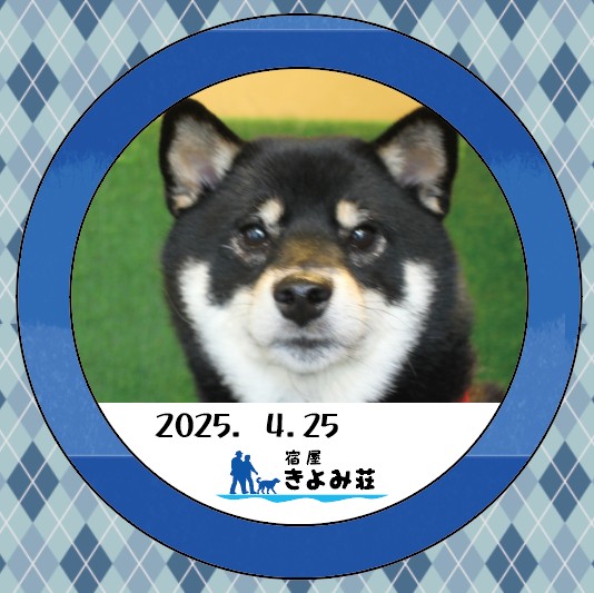 キララ