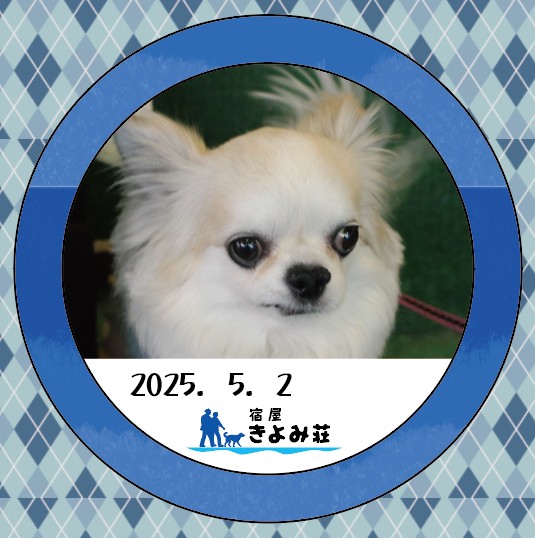 モコ