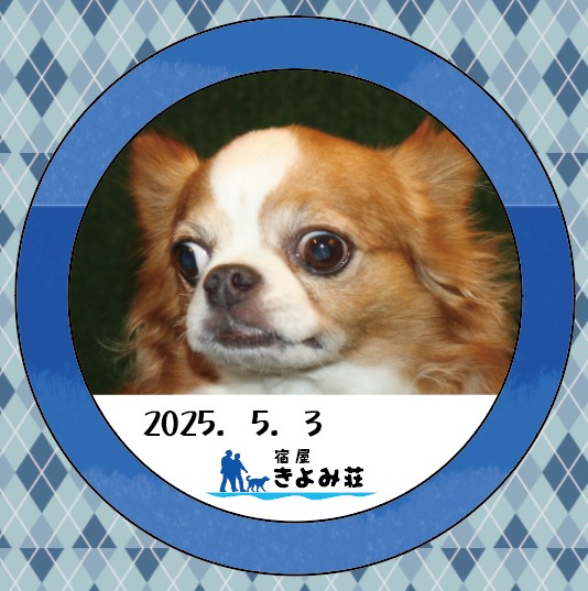 いろは