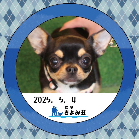 ぽぽちゃん