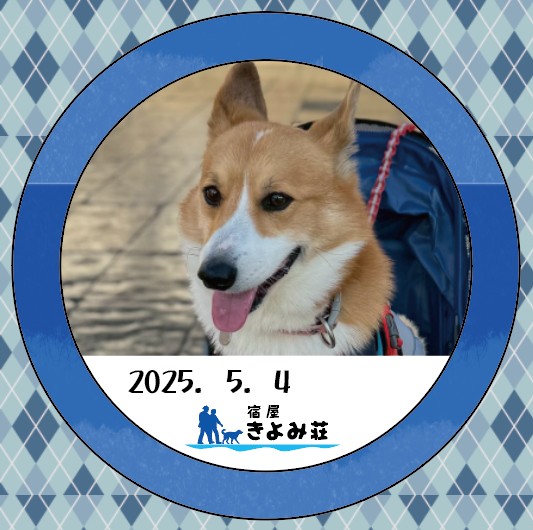 ダイ