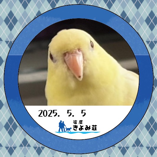 きんぱくん