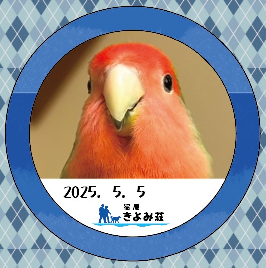 チャギャちゃん