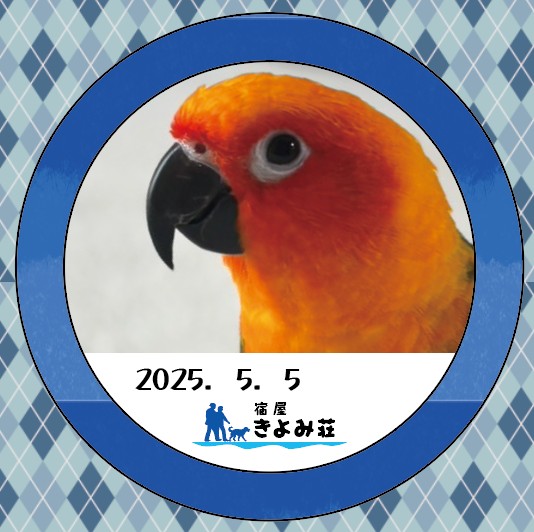 ポッポくん