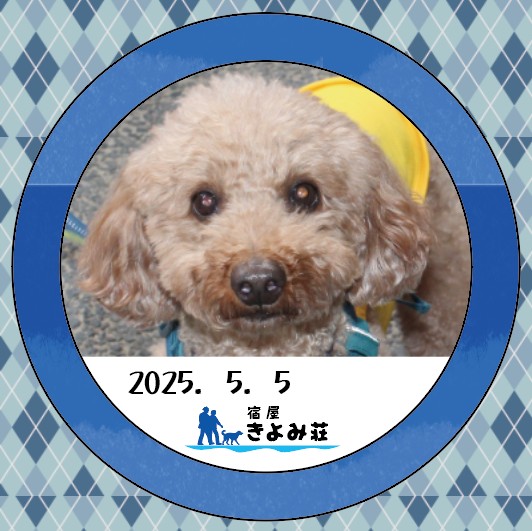 やまと