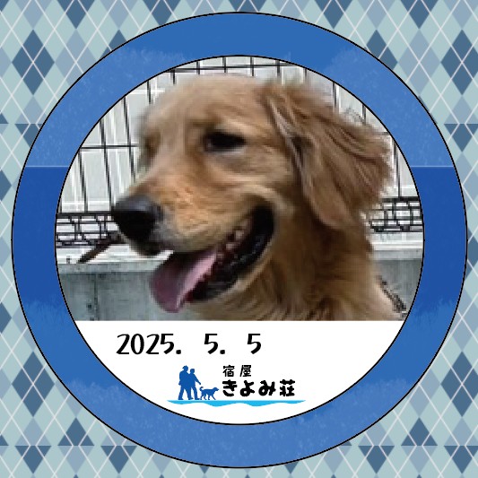 珀