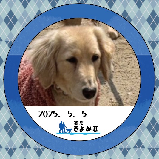 新