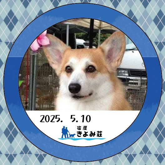 ティアラ