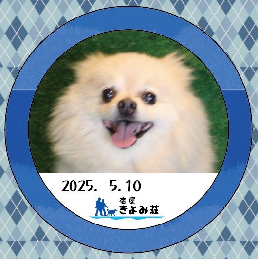 きなこ