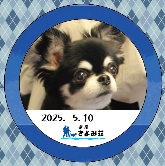 チョコラ