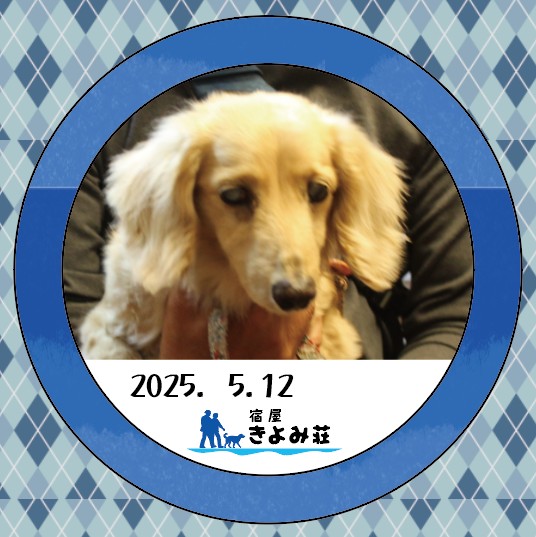くるみ