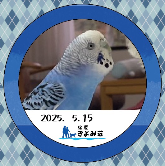 ピッちゃん