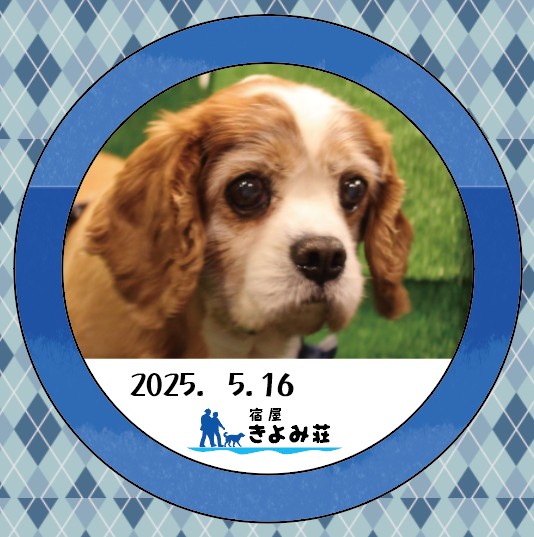 みっきー