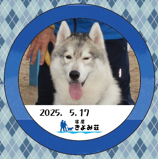テズ