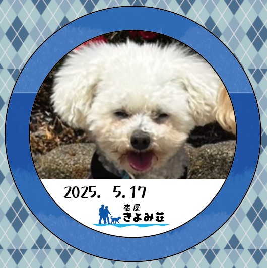 バニラ