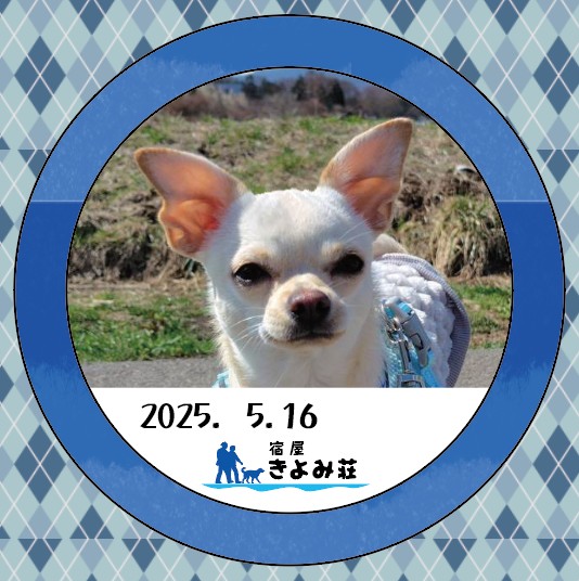 メルル