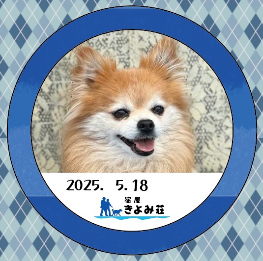 チャス
