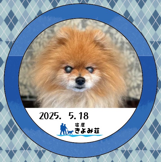 エルマ