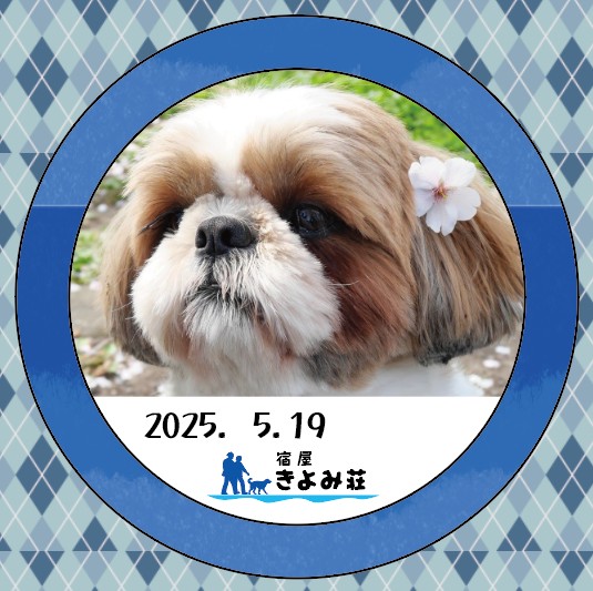 パピー