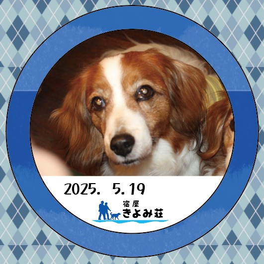 レオン