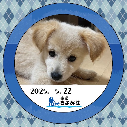 ちくわ