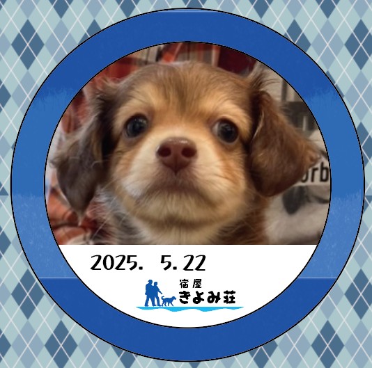 つくね