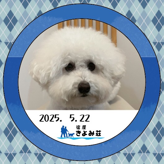 ポテ