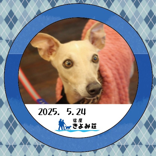 カイ