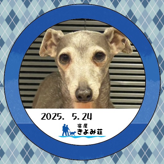 シエル