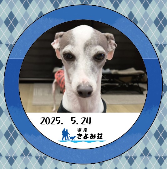 ラッキー