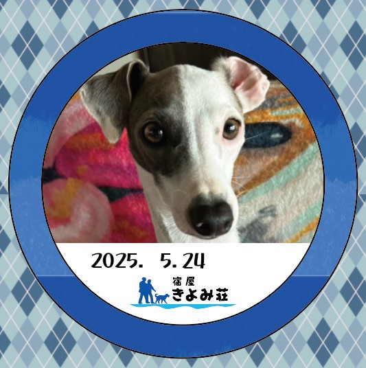 チャンス
