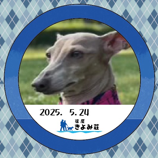 音