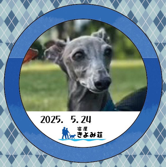 トキ