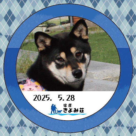 あずき