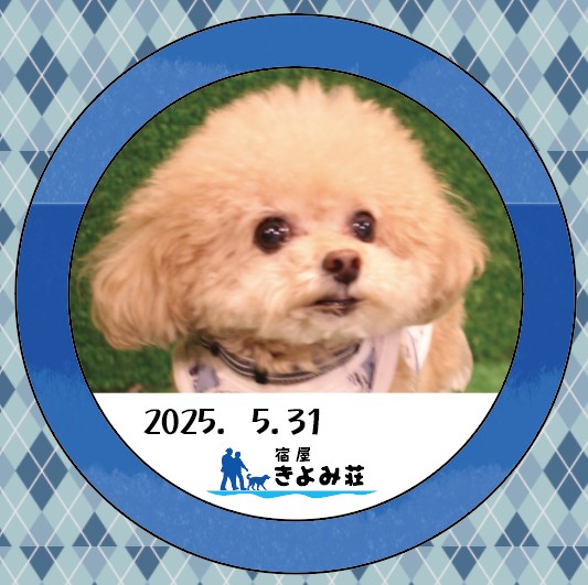 こむぎ