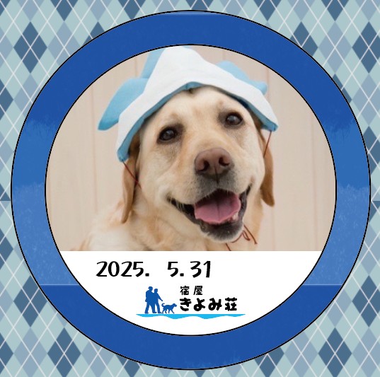 ルゥ