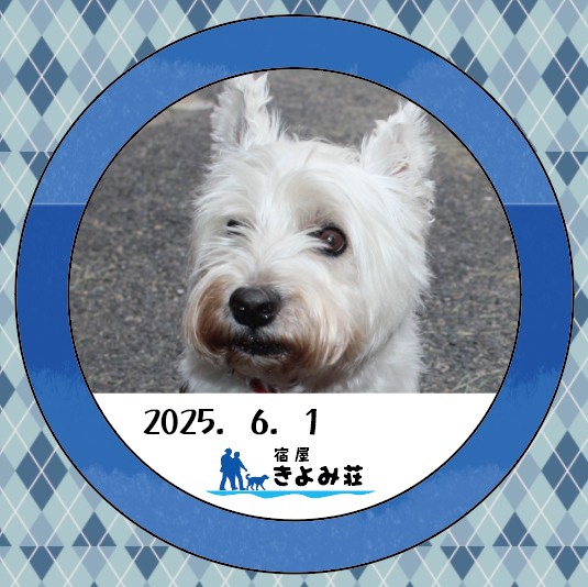 るね