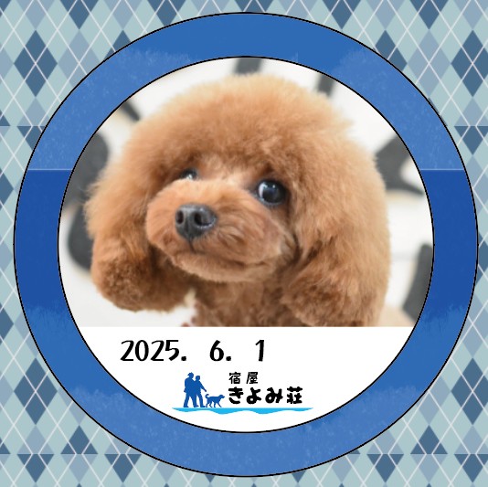 もも子