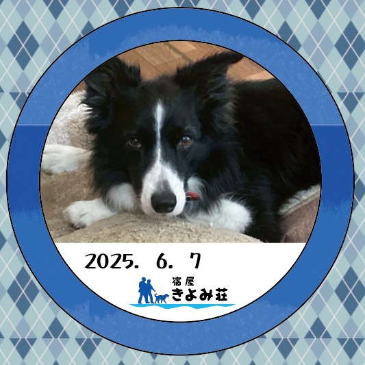 サラ