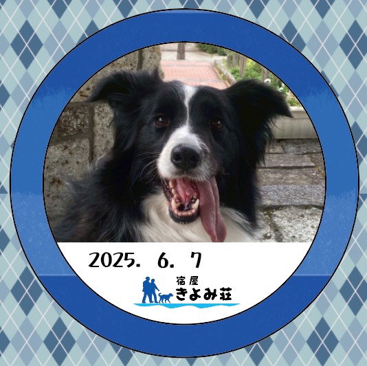まい