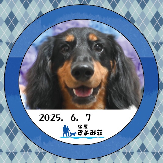 ぱん