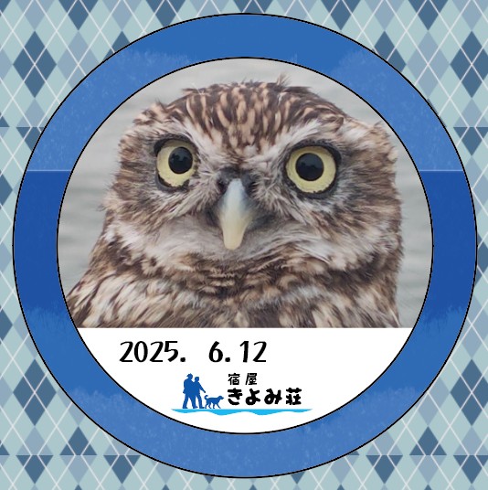 ふく