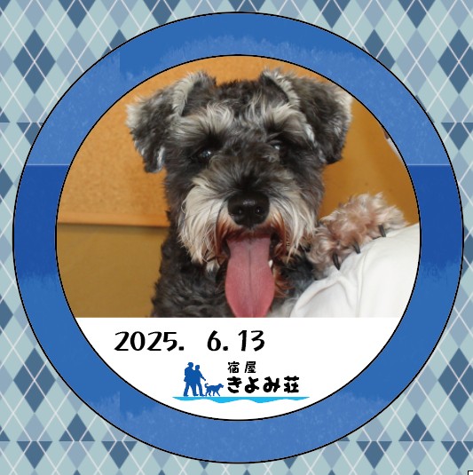ニーナ