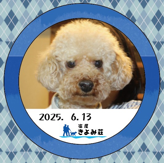 のあ