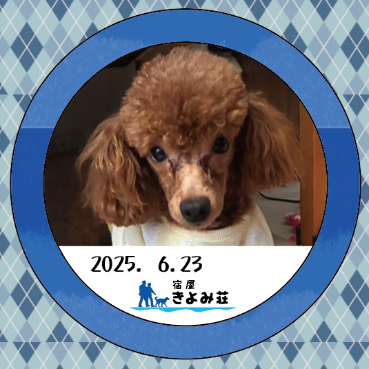 ノン