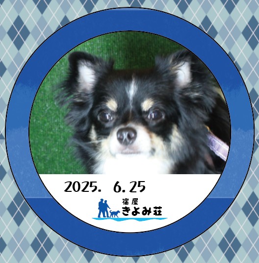 ちび太